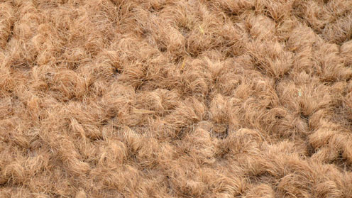 tejidos de pelo de camello